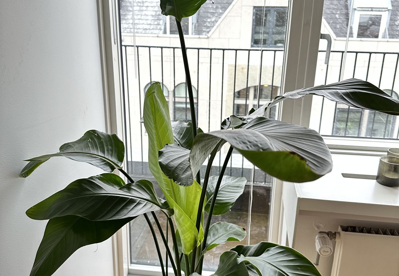 Ferielejlighed i København - aday - 2 Bedroom Nordic Penthouse on Stroeget in CPH